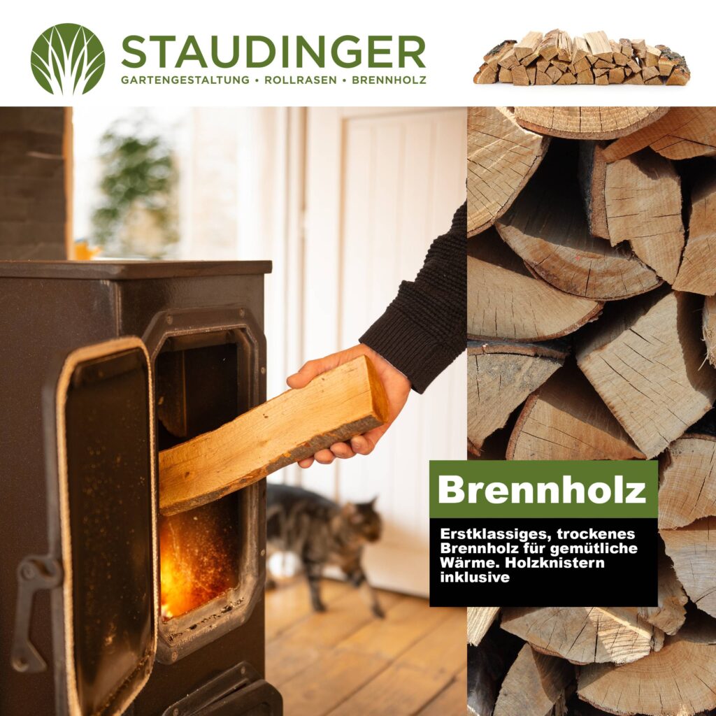 Premium Kaminholz München
